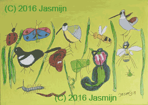Groen gras met beestjes, Jasmijn ©2016
