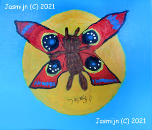 Vlinderbeer, Jasmijn 2021
