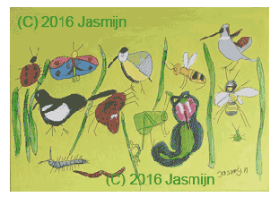 Groen gras met beestjes, Jasmijn 2016